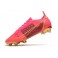 Nike Mercurial Vapor 14 Elite FG ACC