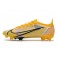 Nike Mercurial Vapor 14 Elite FG ACC