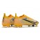 Nike Mercurial Vapor 14 Elite FG ACC