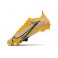 Nike Mercurial Vapor 14 Elite FG ACC