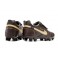 Nike Tiempo Legend 10 Elite FG Leather